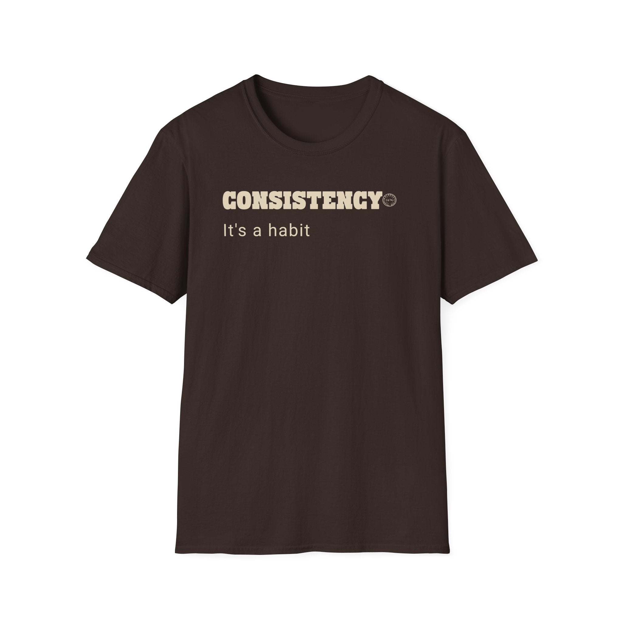 CONSISTENCY Habit T Shirt| Minimalist Self Respect| Emotional Wellness Tee | Clarity Apparel | Motivational Lifestyle Shirt | Locked In