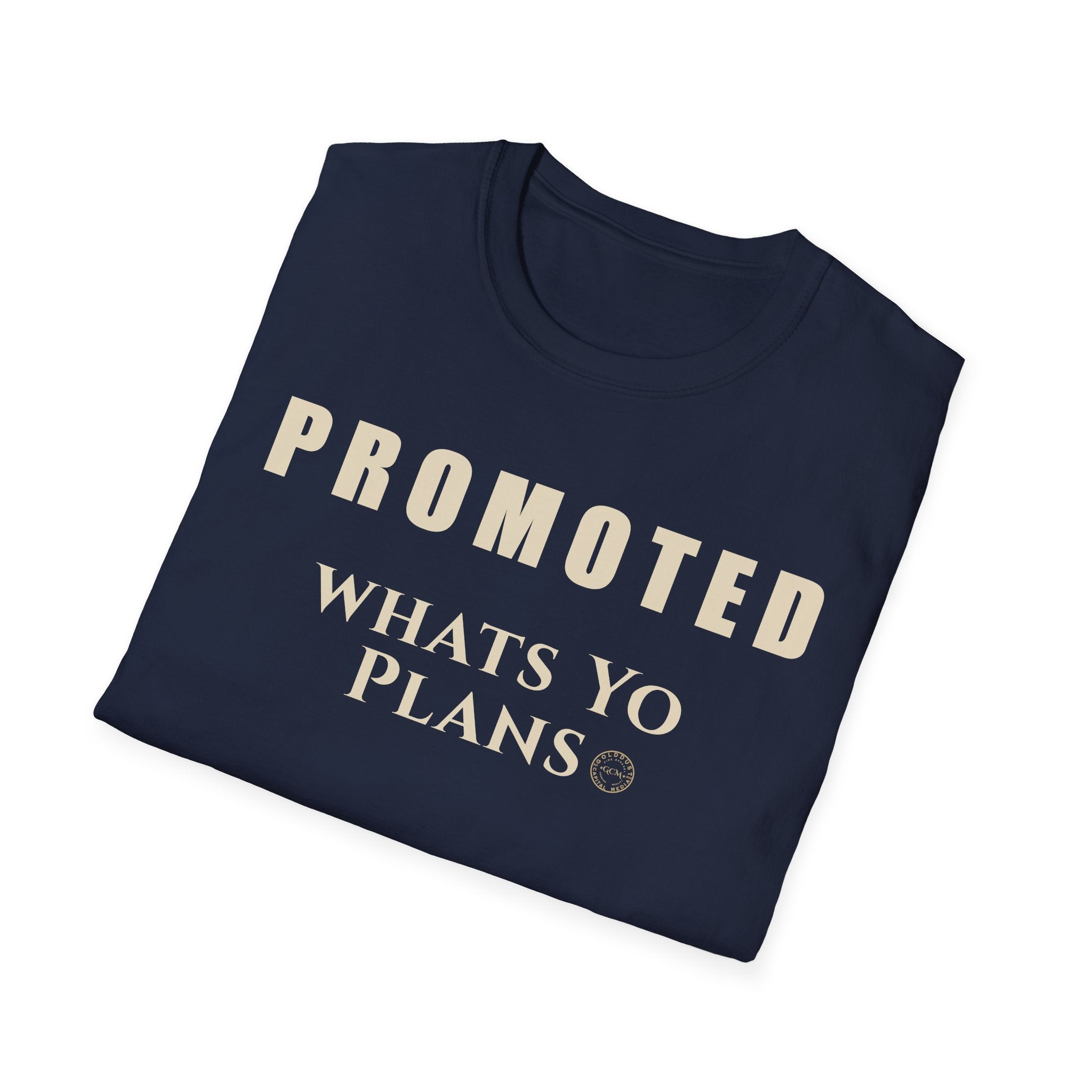 Level Up Mindset Tee | Promoted What's Your Plans | Minimalist Life Event Shirt for Growth, Leadership, New Chapters | Promotion Announcement