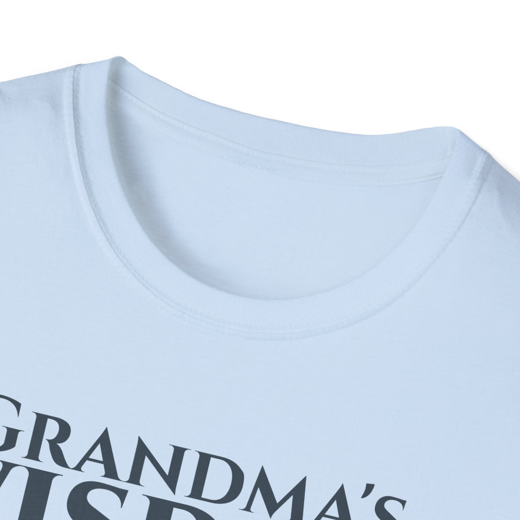 Wisdom of Grandma's Bible Verse T-Shirt - 2 Timothy 1:5 Christian Gift for Nana - Religious Faith Shirt Apparel - Legacy Scripture Tee