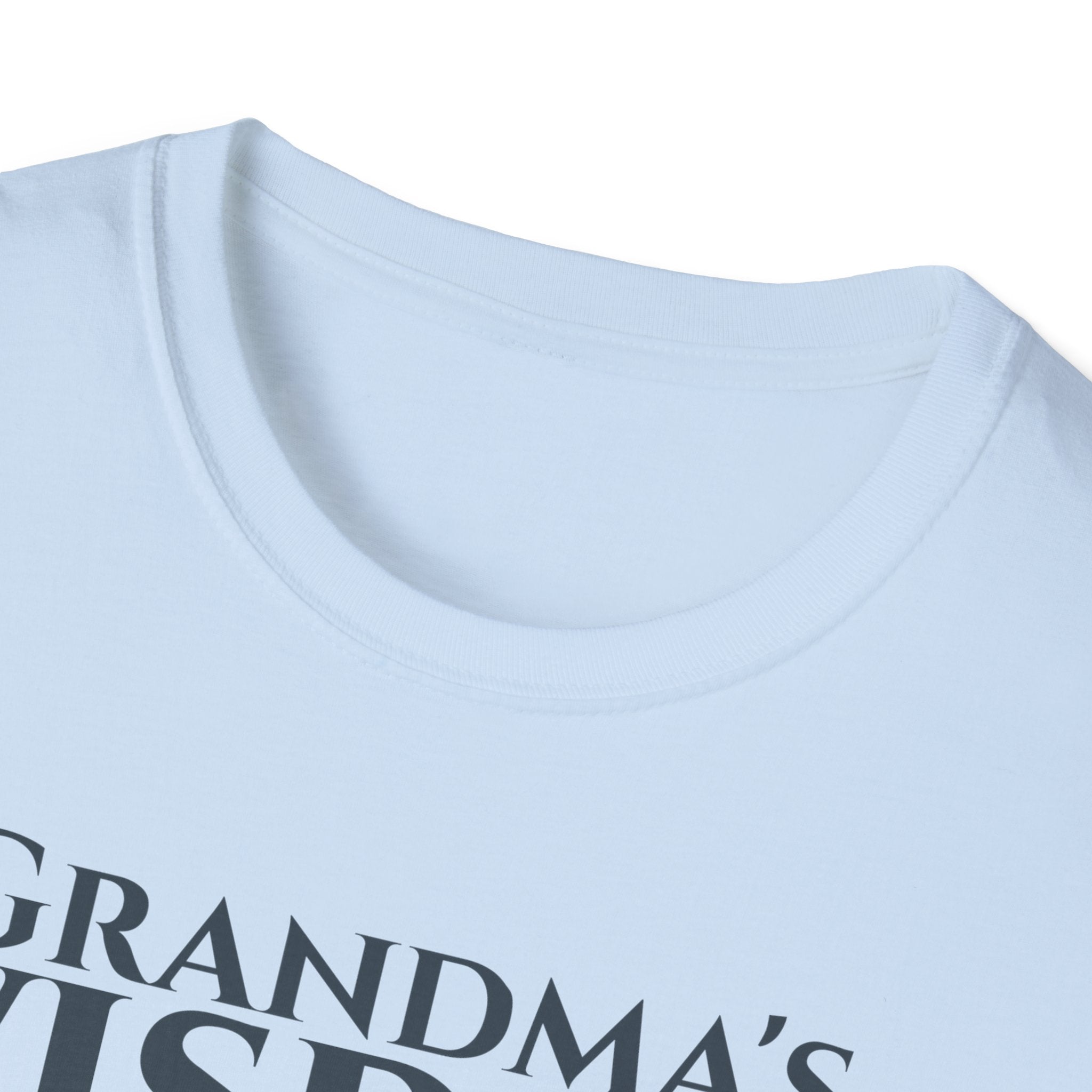 Wisdom of Grandma's Bible Verse T-Shirt - 2 Timothy 1:5 Christian Gift for Nana - Religious Faith Shirt Apparel - Legacy Scripture Tee