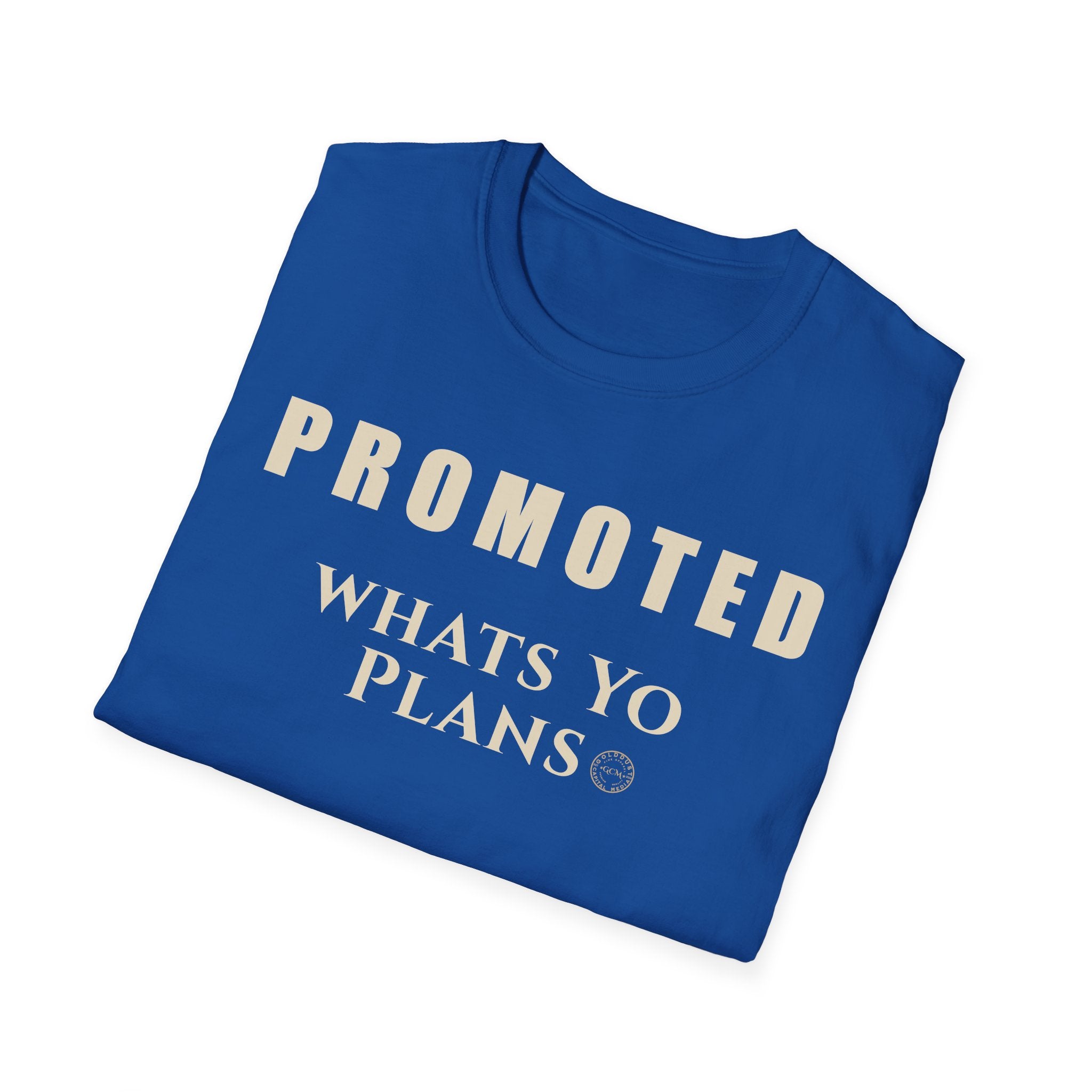Level Up Mindset Tee | Promoted What's Your Plans | Minimalist Life Event Shirt for Growth, Leadership, New Chapters | Promotion Announcement