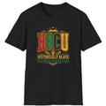 HBCU Historically Black Colleges & Universities T-Shirt | Retro Pan-African Colors T-Shirt Golddust Capital Media