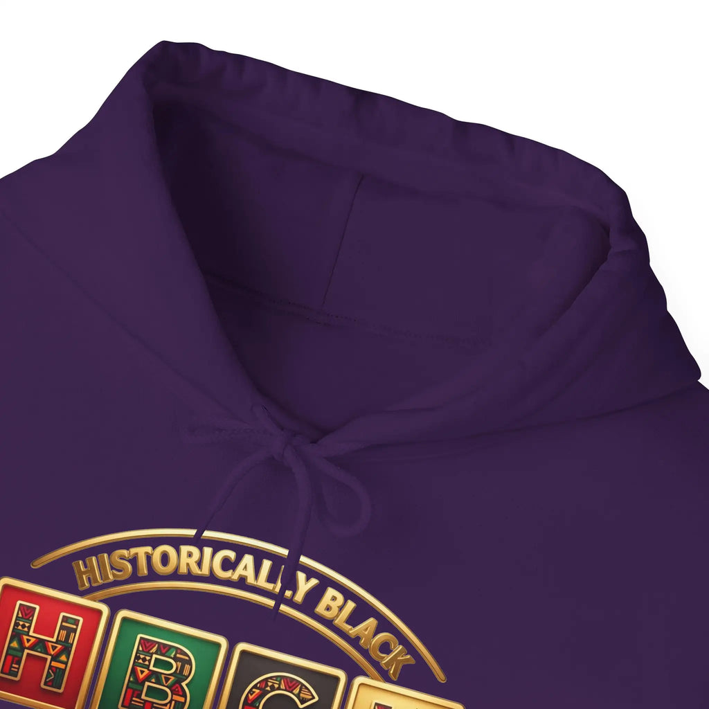Historically Black HBCU Colleges & Universities Pullover Hoodie | Block Pattern Logo Sweatshirt Hoodie Golddust Capital Media