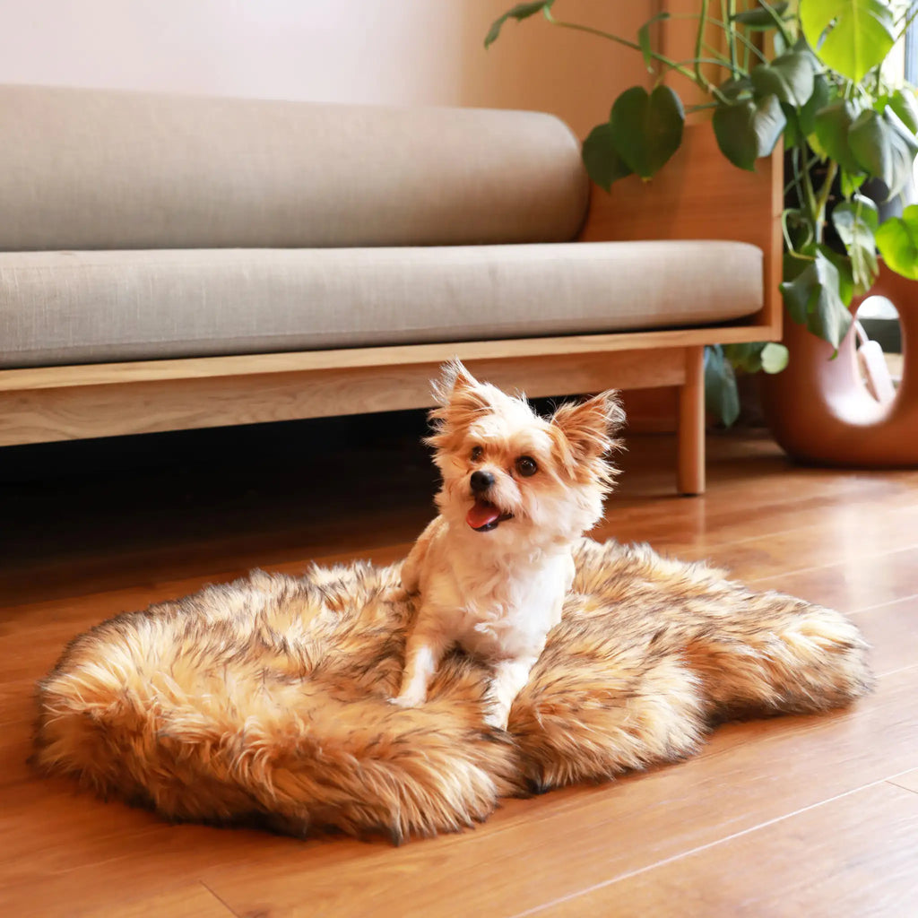 PupRug by Paw.com® Faux Fur Orthopedic Dog Bed - Curve Sable Tan Dog Beds Golddust Capital Media