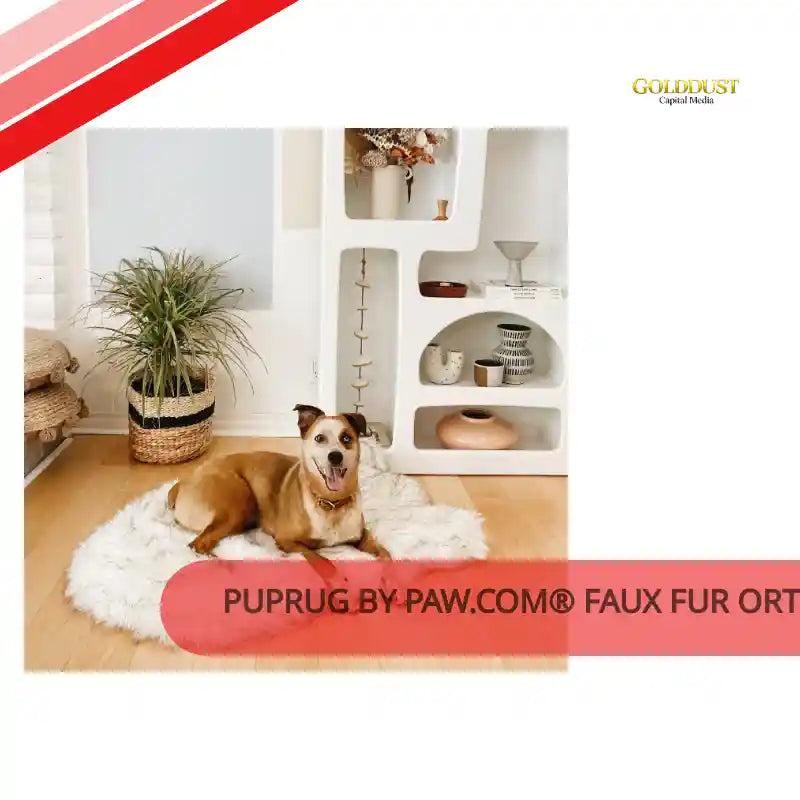 PupRug by Paw.com&reg; Faux Fur Orthopedic Dog Bed - Curve White with Brown Accents by@Outfy